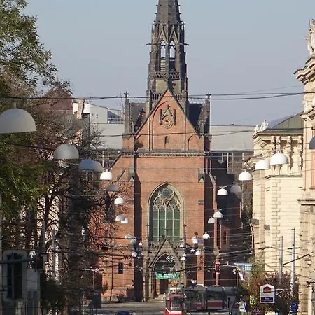 Eel * Brno